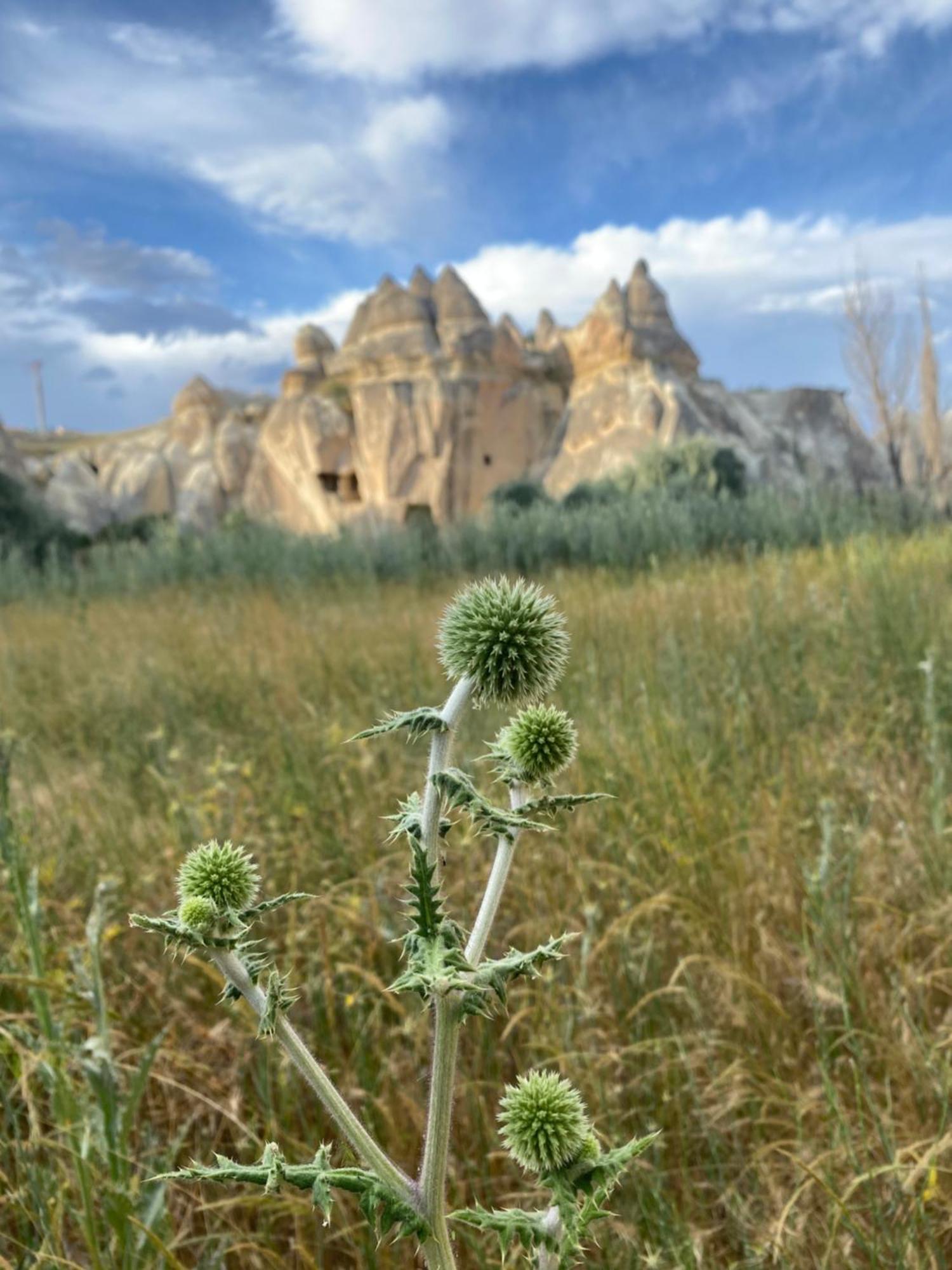 Sinasos Evleri Nevşehir Exterior foto